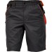 KNOXFIELD SHORTS - pantaloni scurți