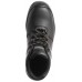 FREEDITE S3 SRC bocanci