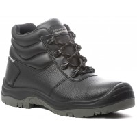 FREEDITE S3 SRC bocanci