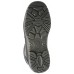 FREEDITE S3 SRC bocanci