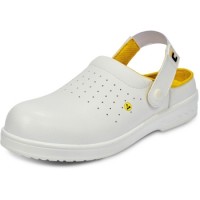 RAVEN WHITE MF ESD SB SRC saboti