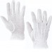 BUSTARD white