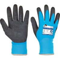 TETRAX WINTER