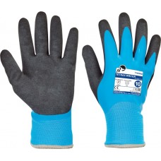 TETRAX WINTER