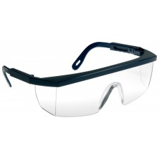 Ochelari de protecție incolori panoramici Europrotection EcoLux